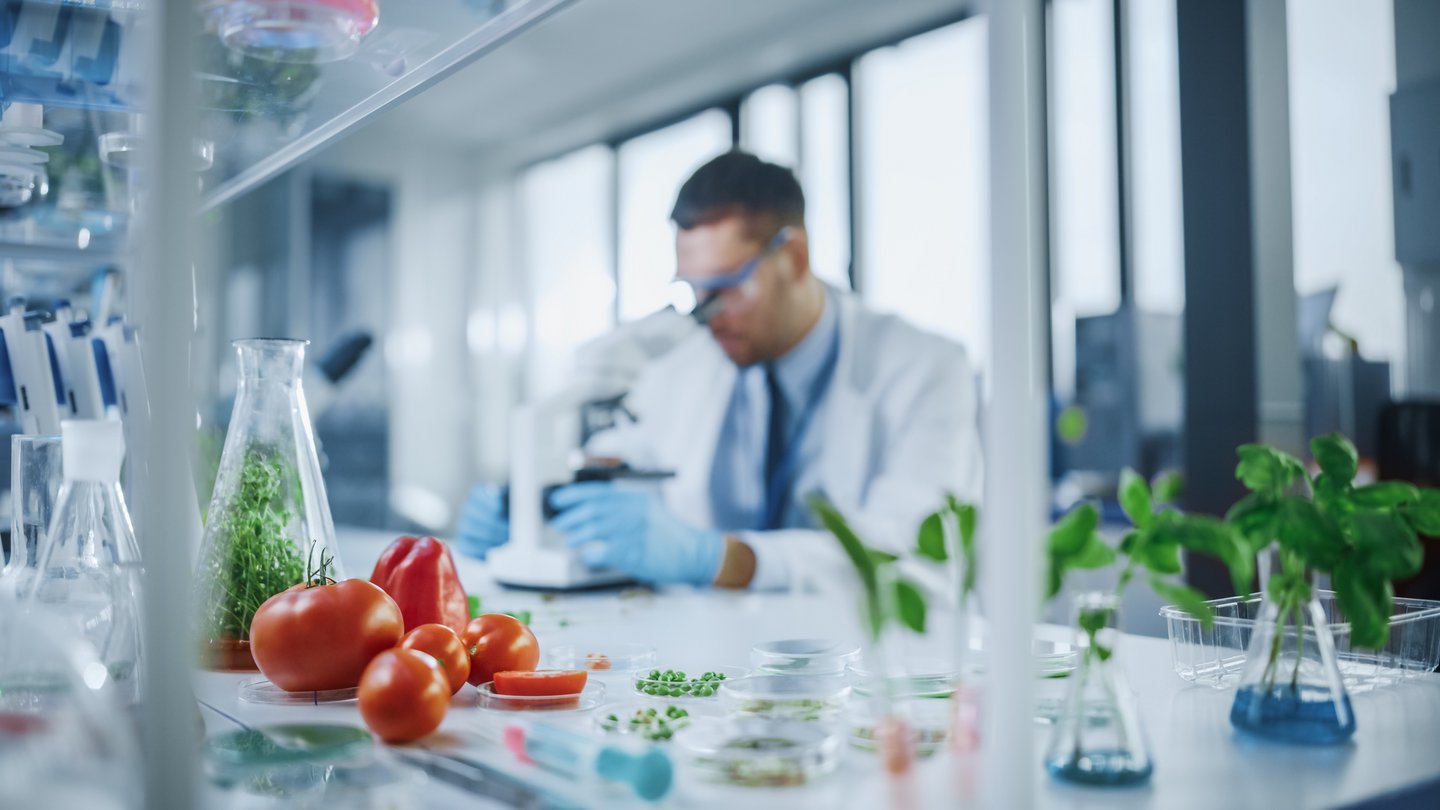 m Vordergrund Konzentrieren Sie sich auf eine Reihe von im Labor angebauten Kulturgemüse: Erbsen, Tomaten, Paprika, Pflanzen. Mediziner, der an einem Hintergrund in einem modernen Lebensmittelwissenschaftslabor arbeite